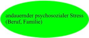 andauernder psychosozialer Stress (Beruf, Familie)