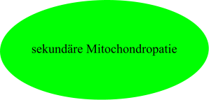 sekundäre Mitochondropatie